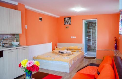Sapareva Banya House | Danailovi Guest House
