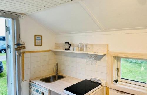 Argab Other | Dancamps Holmsland