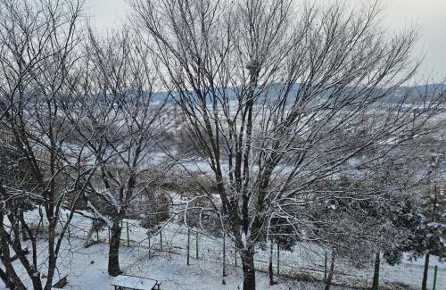 Kondae-gol House | Dangjin Wangmaesil Village