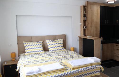 Gornji Milanovac Apartment | Danica apartman