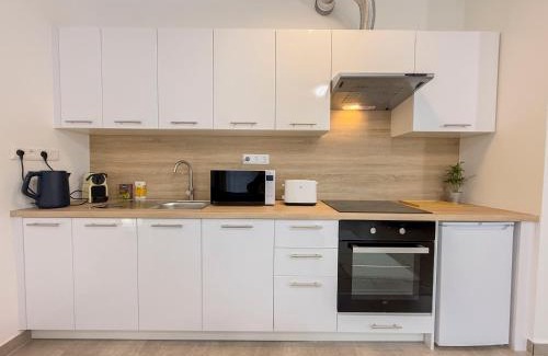 Vizafogo Apartment | Danube river flat with balcony,free garage