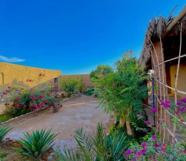 Rissani Bed & Breakfast | Dar Oasis Moringa