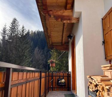 Santo Stefano di Cadore Apartment | DaRenato