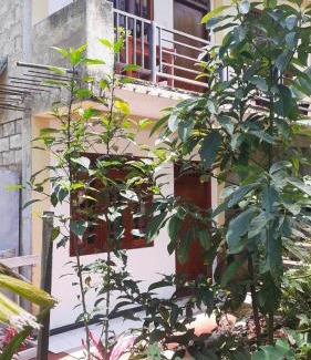 Hatton Ski Chalet | Daresh home stay
