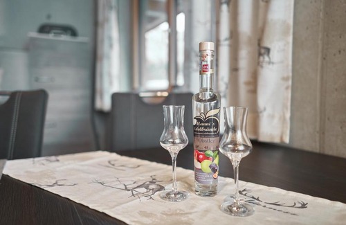 Sautens Apartment | das Blockhittle