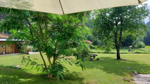 Finkenstein am Faaker See Apartment | das stille Paradies