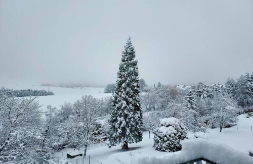 Bad Bertrich Apartment | Holiday apartment Falkenlay