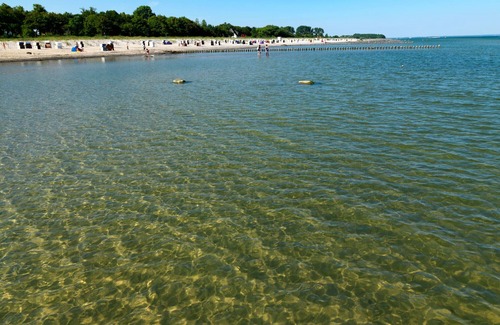 Am Schwarzen Busch Apartment | Welcome to the app. Seemöwe in direct beach location!