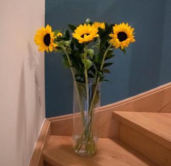 Zoersel Bed & Breakfast | De Loteling