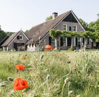 Rheeze Apartment | De Rheezer Kamer
