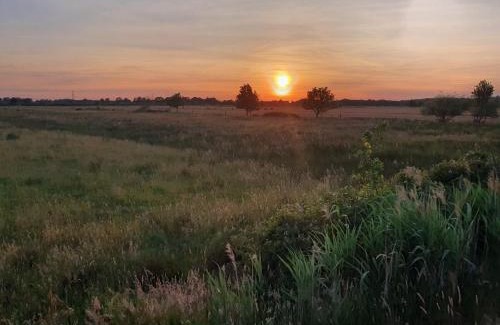 Nederweert Bed & Breakfast | De Vliegende Vlinder