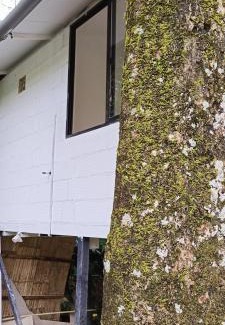 Sulthan Bathery House | Deep Villa