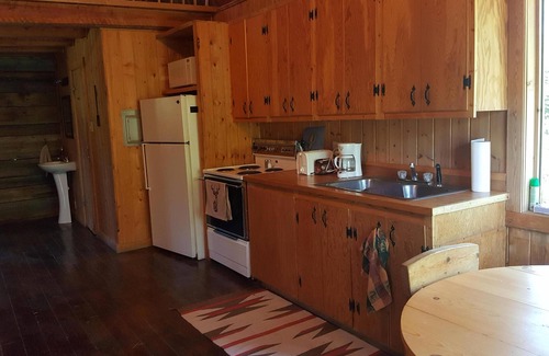 Condon Cabin | "Deer Leap" Rustic Cabin Hidden Among The Pines.