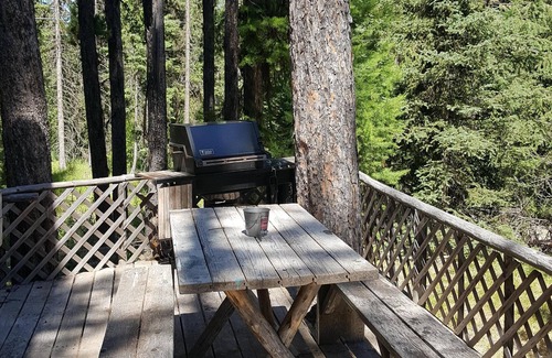 Condon Cabin | "Deer Leap" Rustic Cabin Hidden Among The Pines.