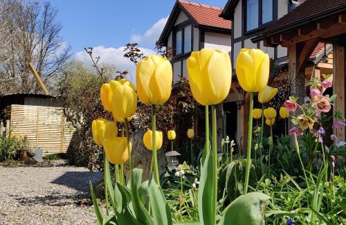 Chorlton-by-Backford Apartment | Delightful & Picturesque Modern Detached Apartment, Next to Chester Zoo, Near Park and Ride to City Centre