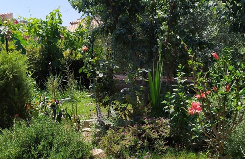 Cala Sinzias Villa | Delightful villa, 300 m from Calasinzias beach.