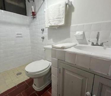 San Miguel de Allende House | Depa Nogal, Centro