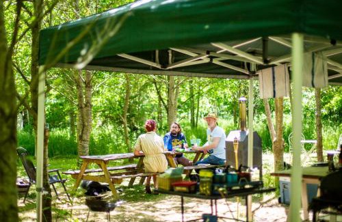 Blackford Other | DGG Woodland Escape