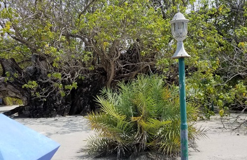 Milandhoo House | Dhaffalhu Tourist lodge