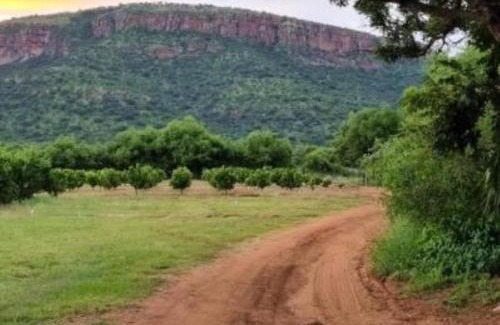Lydenburg House | Die Boom Guest Farm
