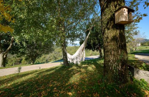 Sant'Anna d'Alfaedo Apartment | Dimora Valentina