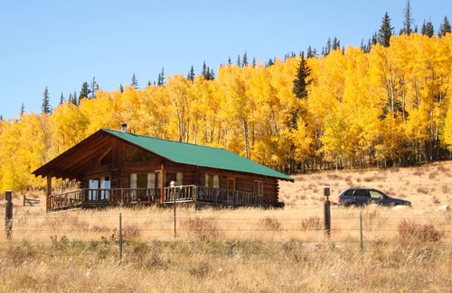 Lake City Cabin | Disconnect From Technology And Reconnect With Nature - Sleeps 6