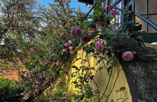 Szentendrei Apartment | Discover Serenity: Stay at Our Visegrád Apartment!