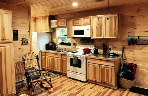 Manton Cabin | Discover the Magic of CampGarno: Your Perfect FourSeason Getaway in Northern MI!
