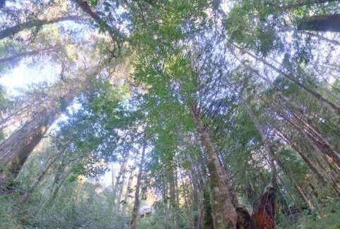 Los Rios House | Disfruta y vive el Bosque en Reserva Biológica