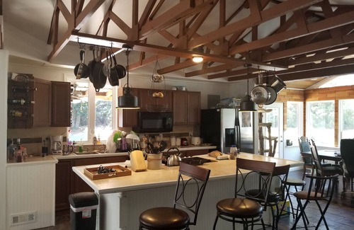 Elberta House | Ditch the shoreline concrete jungle for your private wooded getaway!