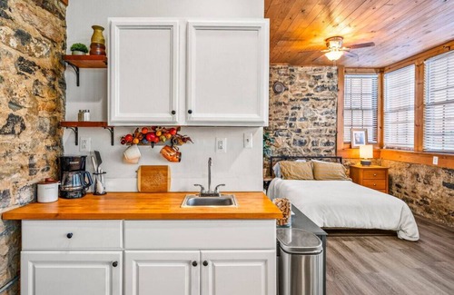 Luray Apartment | Dog-Friendly Downtown Studio — Walk to Park, Shops