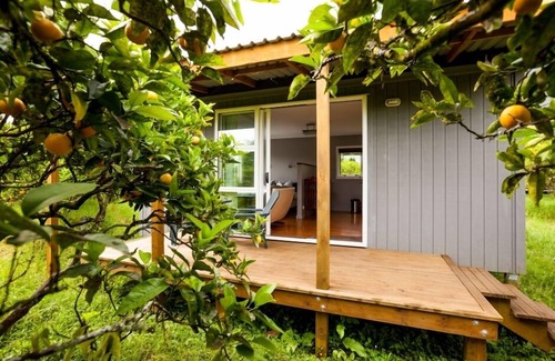 Kerikeri Cottage | DoLittle Cottage on organic citrus orchard, farm animals, pool, total bliss
