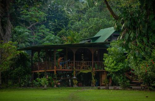 Quebrada La Gamba Cabin | Dolphin Quest Jungle Lodge