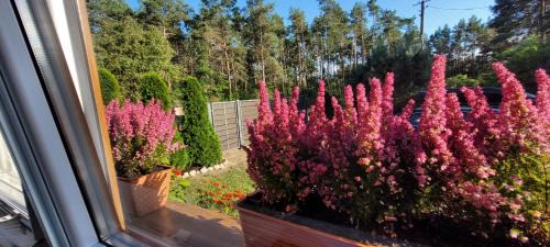 gmina Kramsk House | Dom Na Skarpie - Ucieczka Na Wieś - Samodzielne wejście na szyfr, 100m2