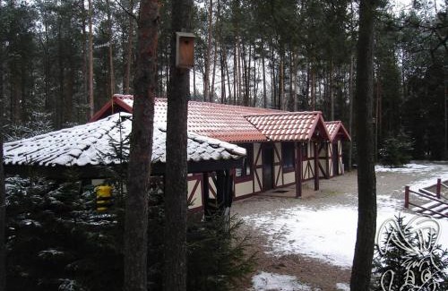 Stara Kiszewa House | Dom nad Stawem - ALEX