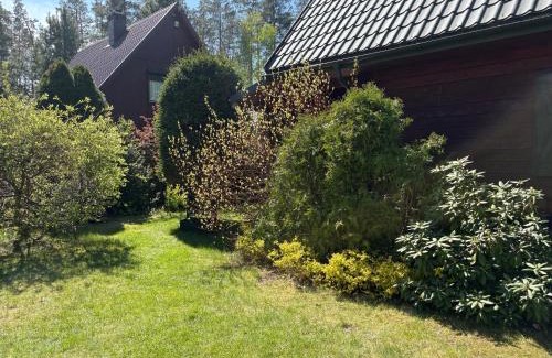 Dzwierzuty Villa | DOM Z BALI Villa Bajkowy Dom