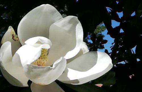 Irissarry Bed & Breakfast | Domaine Abartiague