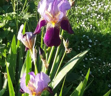 Fontcouverte Bed & Breakfast | Domaine de Fontcouverte