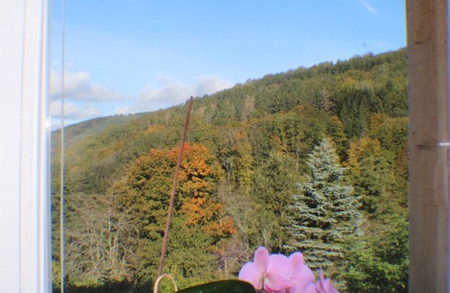 Neuviller-la-Roche Villa | Domaine de la Charrière sur 63 ares - 4 à 8 pers