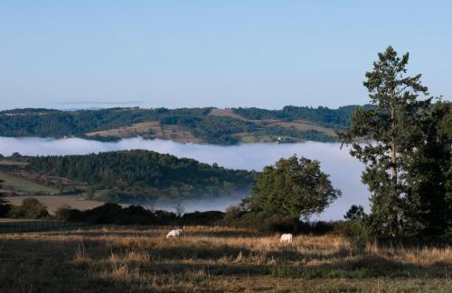 Cordelle Bed & Breakfast | Domaine des Grands Cèdres