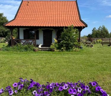 Dziemiany Cabin | Domek całoroczny na Kaszubach "Kołowrót"