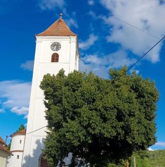 Perna House | Domek po babičce