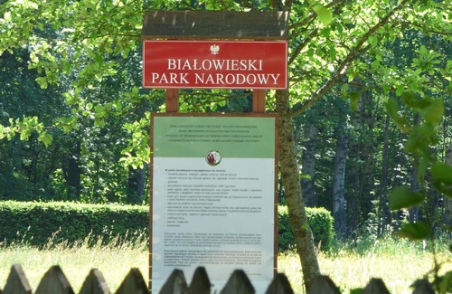 Narewka Cabin | Domek przy Wilczym Szlaku