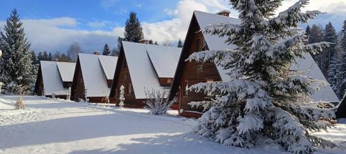 Czarna Ski Chalet | Domki Bieszczady Siedlisko Harenda