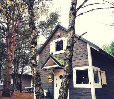 Stara Kiszewa Cabin | Domki Między Drzewami
