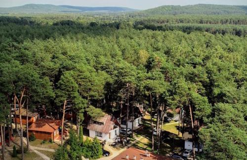 Małogoszcz Resort | Domki nad Wierną Rzeką