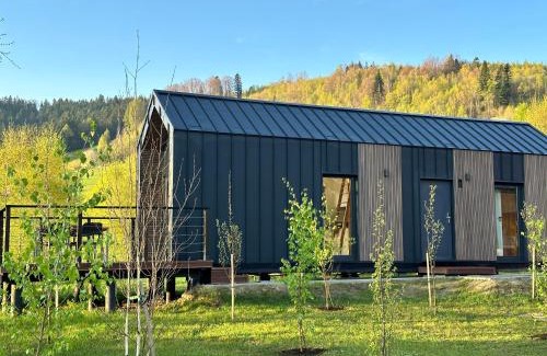 Piwniczna-Zdroj Cabin | Domki Piwniczna