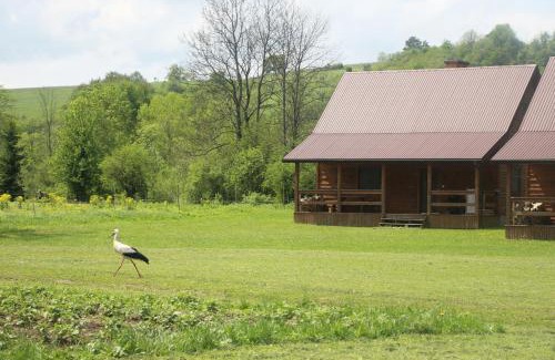 Komancza Cabin | Domki w Smolniku z możliwością apiterapii