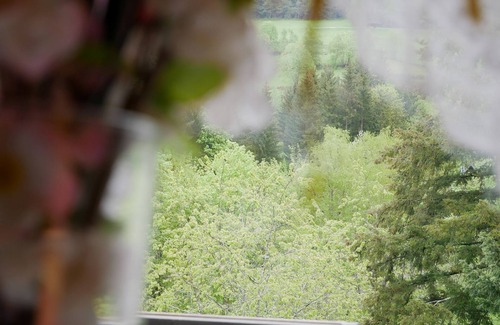 Seebach Apartment | Doppelzimmer mit Balkon, 19qm, max. 2 Person