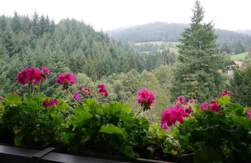 Seebach Apartment | Doppelzimmer mit Balkon, 19qm, max. 2 Person